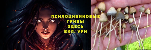 мяу мяу мука Баксан