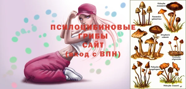 первитин Балахна