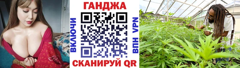 Бошки марихуана гибрид  где найти наркотики  Курчатов 